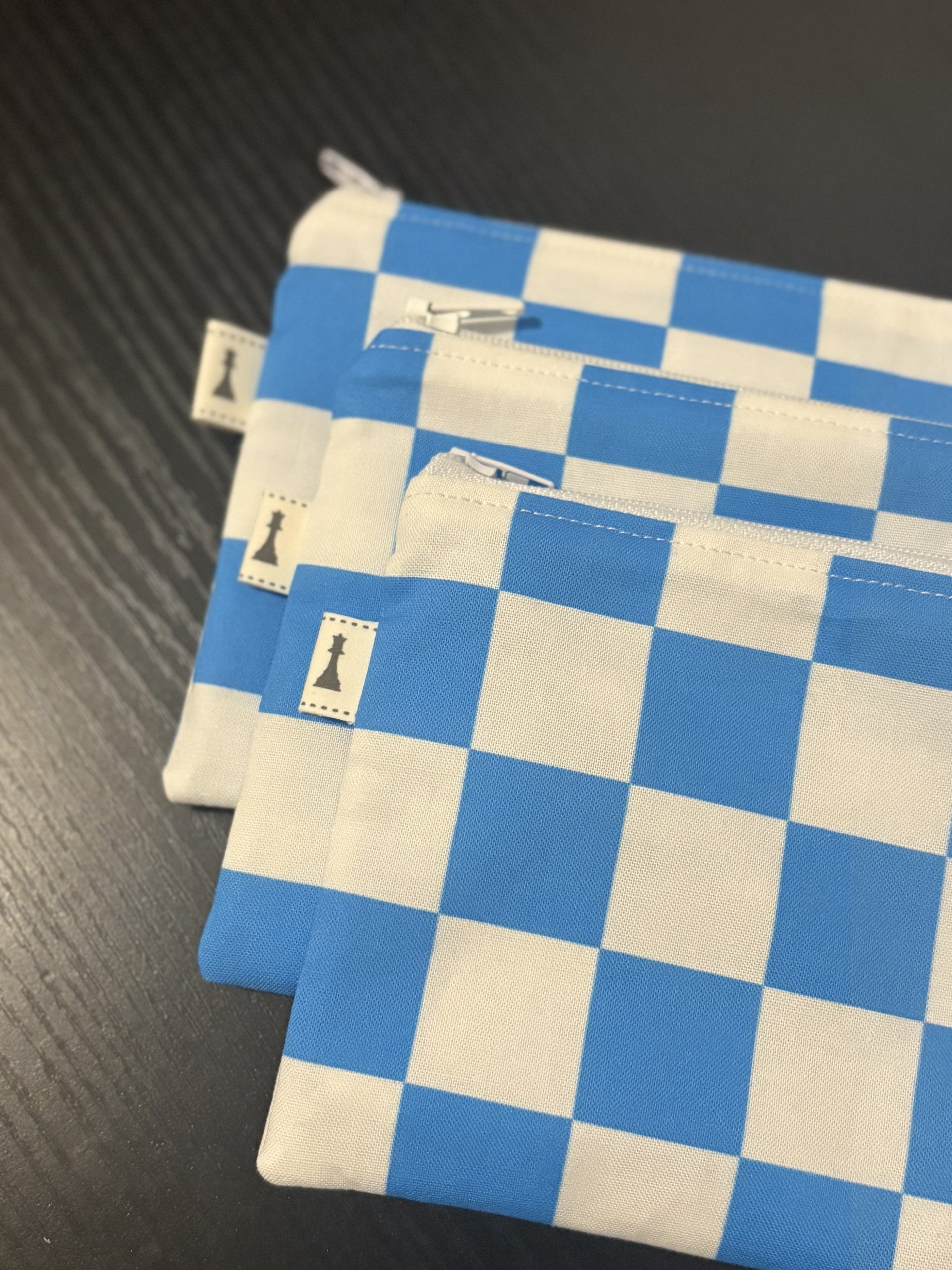 Blue & White checkered carrying bag